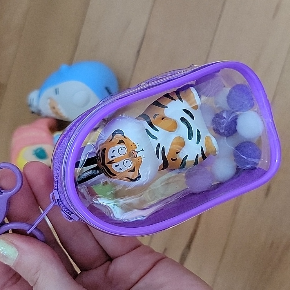 Carry Case For Small Collectibles
